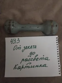 16 гантеля.webp