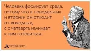 Без названия (16).webp Без названия (16).webp