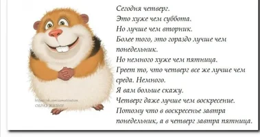 IMG_20221117_071227.webp IMG_20221117_071227.webp