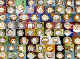 IMG_20221119_061225.webp IMG_20221119_061225.webp