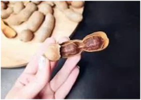 1668952677461.png 1668952677461.png