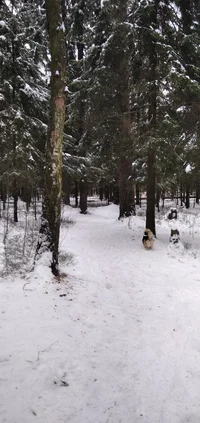 IMG_20221126_132252_1.webp IMG_20221126_132252_1.webp