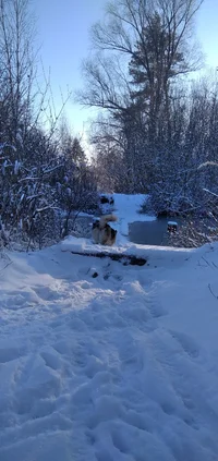 IMG_20221116_112256_1.webp IMG_20221116_112256_1.webp