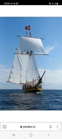 Screenshot_20221206-200908_Yandex Browser.webp