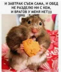 1670527148624.png 1670527148624.png