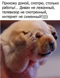 2022-12-09-19-26-38.webp