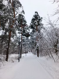 IMG_20221211_101837.webp IMG_20221211_101837.webp