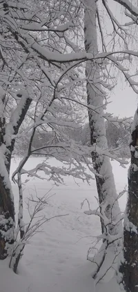 IMG_20221211_123540.webp IMG_20221211_123540.webp