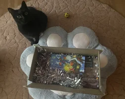 E2DA415F-F810-45B7-8648-94E82D04B7E2.jpeg E2DA415F-F810-45B7-8648-94E82D04B7E2.jpeg