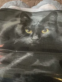 F76B3687-237A-40D4-8092-943DC8662A94.jpeg F76B3687-237A-40D4-8092-943DC8662A94.jpeg