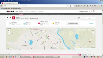 13-12.webp 13-12.webp