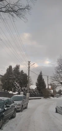 IMG_20221214_095640.webp IMG_20221214_095640.webp