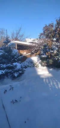 IMG_20221214_121121.webp IMG_20221214_121121.webp