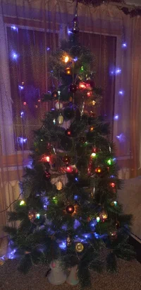 20221217_174132.webp 20221217_174132.webp