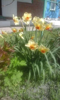 Фото с телефона 016.webp