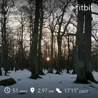 fitbitshare_1231142177.webp