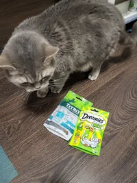 20221225_173102.jpg 20221225_173102.jpg