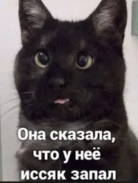 IMG_20211220_175508 (1).webp