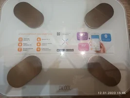 IMG_20230112_154619.jpg IMG_20230112_154619.jpg