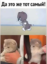 Screenshot_20230112_202510_Instagram.webp Screenshot_20230112_202510_Instagram.webp