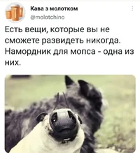 Screenshot_20230112_202531_Instagram.webp Screenshot_20230112_202531_Instagram.webp