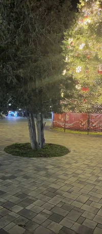 IMG_20230116_192049_199.webp