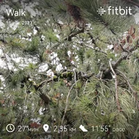fitbitshare_1155779848.webp
