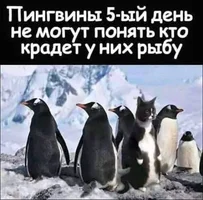 SAVE_20230118_181523.webp