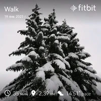 fitbitshare_1235302860.webp