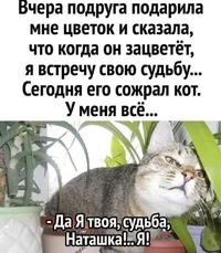 853A6339-C3E8-4415-8532-5D82311A185C.webp