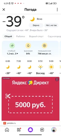 Screenshot_2023-01-23-06-29-13-474_ru.yandex.searchplugin.webp