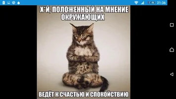 Screenshot_2016-04-23-21-36-09.webp Screenshot_2016-04-23-21-36-09.webp