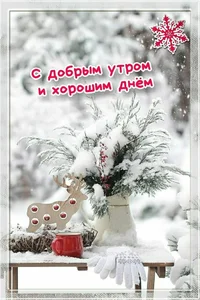 fevral-12.webp