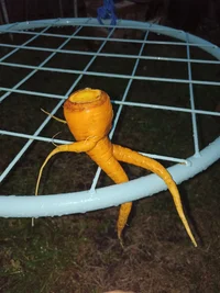 2022-09-13 18-40-11.webp