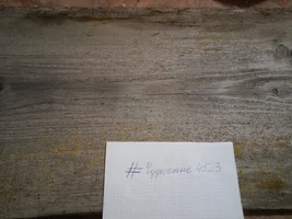 WhatsApp Image 2023-02-09 at 17.13.30.webp