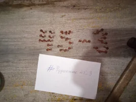 WhatsApp Image 2023-02-09 at 17.13.31 (3).webp