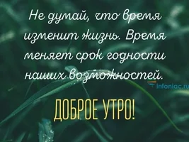 max_g480_c12_r2x3_pd20 (21).webp