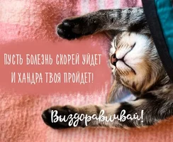 vyzdoravlivay3_happypik.ru_.jpg vyzdoravlivay3_happypik.ru_.jpg