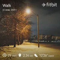 fitbitshare_2049235347.webp