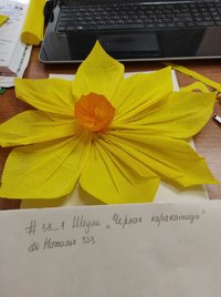 IMG_20230227_140751.jpg