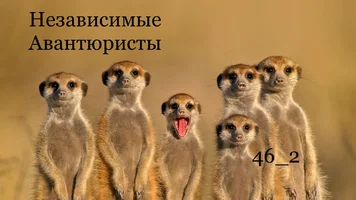 1677677767578.webp 1677677767578.webp