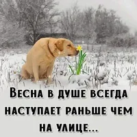 FB_IMG_1677694942857.webp