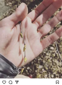 302470CC-A052-4488-AED9-BE0A6BEE233D.webp 302470CC-A052-4488-AED9-BE0A6BEE233D.webp