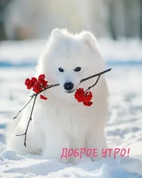 1678074581496.webp 1678074581496.webp