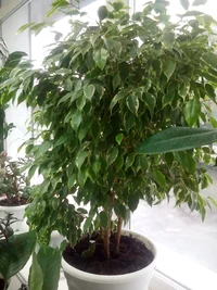 IMG_20160429_163128.webp