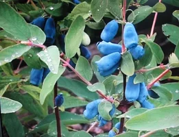 upload_2016-4-29_20-3-36.webp upload_2016-4-29_20-3-36.webp