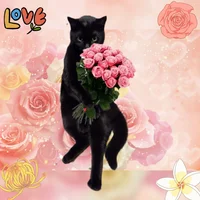 InShot_20230301_133430555.webp InShot_20230301_133430555.webp