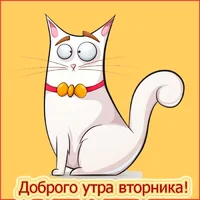 7e15aa54e6715868ad2bdeb6dd0b6be5.webp