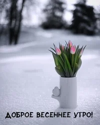 1678940824617.webp