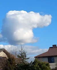 IMG_20230317_202648.jpg IMG_20230317_202648.jpg